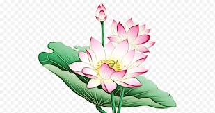 Tujuannya adalah agar warna gambar lebih sempurna. Cat Air Bunga Nymphaea Nelumbo Lukisan Lukisan Cat Air Menggambar Tanaman Lily Teratai Png Klipartz