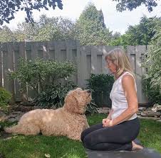 Maybe you would like to learn more about one of these? About Yoga Therapy Ottawa