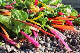Grasp the stalk near the bottom. Seasonal Produce Jamie Oliver