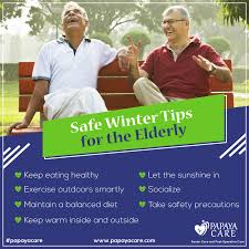 Winter Safety Tips For Seniors Papaya Care Seniorhealthcare Wintercare Elderlycare Personalcareservices Assi Senior Health Care Elderly Care Winter Safety