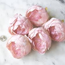 Dusty Pink Peony Set Of Five Pink Peonies Closed Peony Head Partially Closed Peonies Light Pink Peony Heads Set Of Peonies Dusty Pink Pink Peonies Peonies Dusty Pink