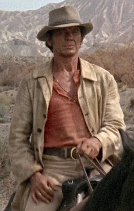 Once Upon a Time in the West: Charles Bronson as Harmonica » BAMF Style