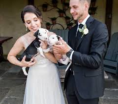 The professionals chose a single green succulent, two thistles, and strands of wheat to create this modern posy. Who Needs Bouquets When You Can Have Puppies Bride And Groom Have Rescue Puppy Cuteness Overload At Their Wedding Love What Matters