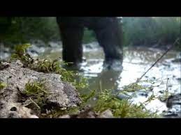 Do you like pictures of young and. Wet In Mud With My Levis Youtube
