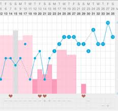 Share Your Chart The Cycle You Got A Bfp December 2015