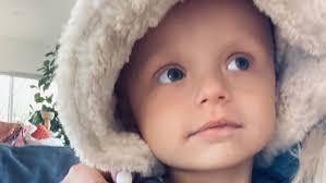 Fundraiser for Brooke Bretherton by Alanna N : Please help Peachy Bo