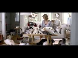 1 Taylor Swift Kittens Diet Coke Commercial Ad Youtube Taylor Swift Songs Taylor Swift Videos Taylor Swift Diet Coke