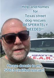 Heavy Heart Happy Home Rescue