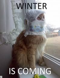 We did not find results for: Winter Is Coming Meme Guy