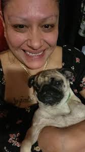 Dat moment when yooz mommy gots da nerve to say NO TO OPIE!! And then hers  LAFFED at me and my pouty face!!!!😳 Dis is an oldie but me still gibs hers