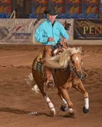Post a comment for live streaming piala menpora 2021. 2018 Cactus Reining Classic Nw Horse Source