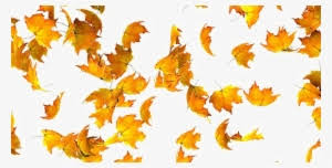 98 transparent png illustrations and cipart matching falling leaves. Falling Leaf Png Pic Falling Maple Leaf Png Png Image Transparent Png Free Download On Seekpng