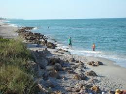 Caspersen Beach Parking Venice Fl