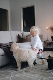 Att livet går att leva fullt ut även om det händer jobbiga saker på vägen. David Ditte Duni Familj Ditte Svanfeldt