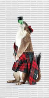 The End Of History Brewdog Recipes Called the end of history, the collection of roadkill includes seven stoats, four squirrels and a hare, each containing a bottle of beer at 55% abv. the end of history brewdog recipes