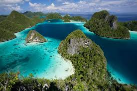 Pembahasan tentang flora dan fauna akan diuraikan pada penjelasan dibawah ini. Daerah Konservasi Flora Dan Fauna Di Indonesia Yang Dilindungi Dinas Lingkungan Hidup Kota Semarang