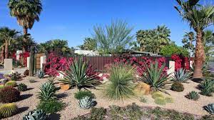 You'll get ideas for color, décor, materials, plants and fabric. How To Get Started With Xeriscaping