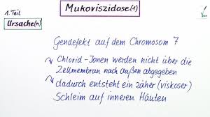 Wie löse ich verflixte hi, kennt sich jemand mit mukoviszidose aus oder kenn eine gute internetseite? Mukoviszidose Ursachen Und Symptome Inkl Ubungen