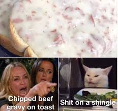 Pin By Cat D On Smudge In 2020 Funny Grumpy Cat Memes White Cat Meme Funny Cat Memes