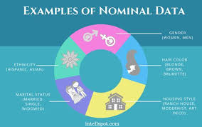 Examples Of Nominal Data Data Science Infographic Nominal Data Data Science