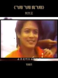 刘文正- 抖音百科