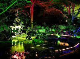 9 Unusual Things To Do In Wellington New Zealand Botanical Gardens Night Garden Garden Photography
