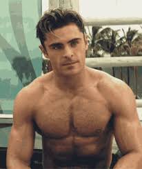 Zac Efron Gifs Tenor