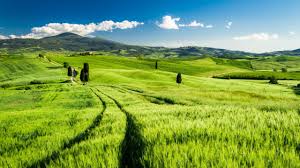 Toscane Italie Champs Verts Printemps Fonds D Ecran 2560x1440 Best Wallpaper Net Destinos Italia