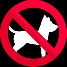 Dog vpn (fast & secure vpn proxy) brings a high speed and encrypted vpn connection to your smart phone or tablet. Ultrasonic Dog Repellent Sound Pro Apk 1 1 Download Apk Latest Version