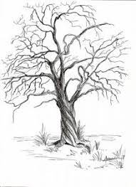 christiane allenbach chene tronc noueux encre dessin arbre mort livre de coloriage imprimable chien