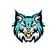 Mountain Crest Girls Varsity Soccer @ Sky View