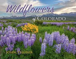 Maybe you would like to learn more about one of these? Amazon Com Wildflowers Of Colorado 9780991499083 John Fielder Books