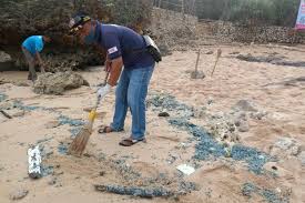 Klinik 1malaysia tidak bertujuan merampas fungsi klinik swasta. Pantai Selatan Gunungkidul Dipenuhi Ubur Ubur Puluhan Wisatawan Tersengat Halaman All Kompas Com