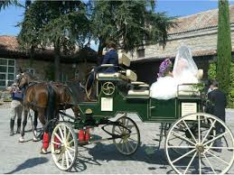 Sólo aquí las mejores apuestas caballos apuestas y carreras hípica bonos gratis ⭐ el mejor turf garantizado 100% seguro | febrero 2021. Alquiler De Coches De Caballos Para Bodas Collado Mediano Central De Reservas Sierra Del Guadarrama