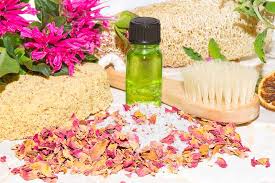 A jar across the flowers goes,. How To Plant And Grow Bee Balm Gardener S Path