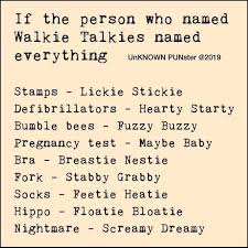 If The Person Who Named Walkie Talkies Named Everything Funny Memes In 2020 Silly Jokes Funny Quotes Really Funny