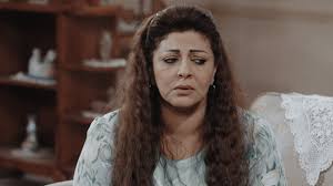 وبالوقت نفسه تقدمت هالة صدقي ببلاغ رسمي إلى النائب العام ضد أحد المواقع التي نشرت مقطع فيديو للمحامي صالح السقا محامي زوجها، كما اتهمت المحامي وزوجها بالتشهير. ØµØ±Ø§Ø¹ Ù‡Ø§Ù„Ø© ØµØ¯Ù‚ÙŠ ÙˆØ²ÙˆØ¬Ù‡Ø§ Ø¹Ù„Ù‰ Ù†Ø³Ø¨ Ø·ÙÙ„ÙŠÙ‡Ù…Ø§ ÙŠÙ†ØªÙ‚Ù„ Ø¥Ù„Ù‰ Ø§Ù„Ù‚Ø¶Ø§Ø¡ Ø³ÙŠØ¯ØªÙŠ