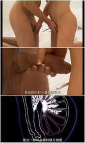 21世紀性愛美學 毛髮遊戲