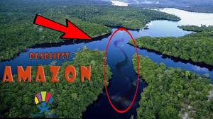 Top 5 Deadliest Animals Of The Amazon Deadly Animals Amazon Rainforest Amazon Forest