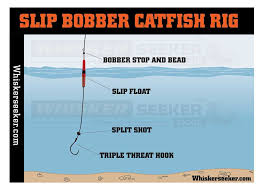 Catfishing rigs, fishing rigs for bass, fishing rigs for trout, fishing rigs. Catfish Rigs Whisker Seeker Tackle