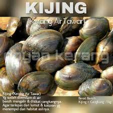 Ikan air tawar ini ada banyak jenisnya, sehingga kita memiliki banyak pilihan ikan yang dapat diolah dan disajikan untuk keluarga tercinta. Jual Kijing Kerang Air Tawar Di Lapak Doyan Ikan Bukalapak