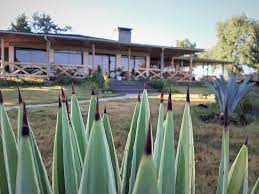 Private self catering camp +12 acre bordering kedong ranch, off south lake road, 1 1/2 hours this house has one bedroom with a double bed. Kedong Ranch House Sisal Picture Of Naivasha Rift Valley Province Tripadvisor