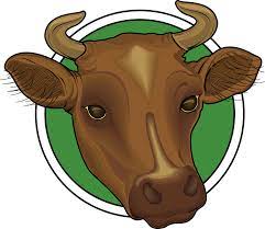 It's high quality and easy to use. Download Cabeza De Vaca Png Head Of A Cow Full Size Png Image Pngkit