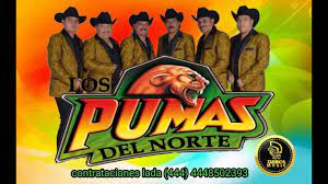 Los dos fuimos culpables — los pumas del norte. Los Pumas Del Norte Por Esa Que Veo Pasar Estudio 2019 Youtube