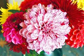 Have a small bridal party since a big chunk of your flower money will be going to bouquets and boutonnieres, you can cut down on your wedding flower costs by going with a smaller wedding party. Pin On Diy Budget Tips