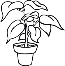 Dibujos De Plantas Para Colorear