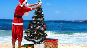 We did not find results for: This Is The Most Australian Christmas Tree Ever Huffpost Australia Life