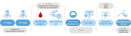What Is In Vitro Fertilisation Ivf