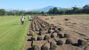 Apartment rent prices and reviews. Project Gallery Grassmasters Sod Farms