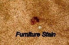 Twitter facebook google+ pinterest reddit stumble it digg linkedin del.icio.us. Pin On Cleaning Tricks